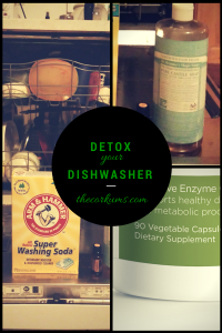 Dishwasher detox (1)