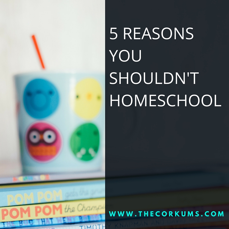 5 reasons you shouldn't homeschool
