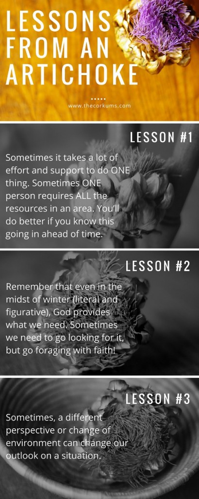 Lessons from an artichoke