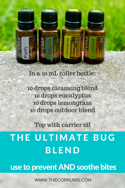 the ultimate bug blend